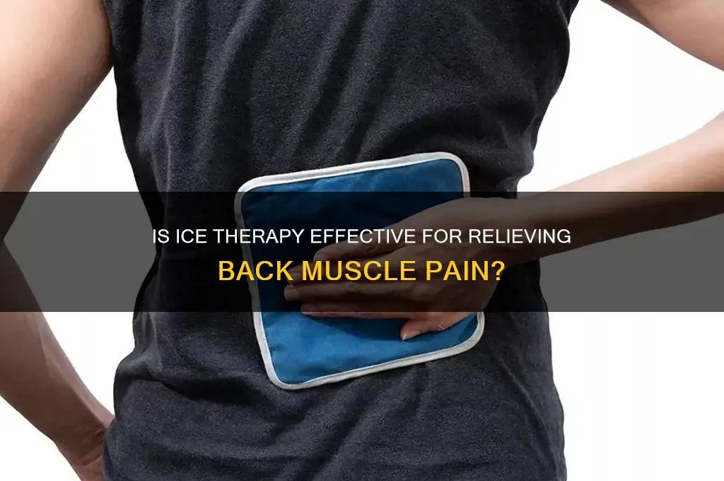 is ice good for back muscle pain