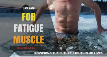 Ice Therapy: Effective Relief for Fatigued Muscles or Just a Myth?