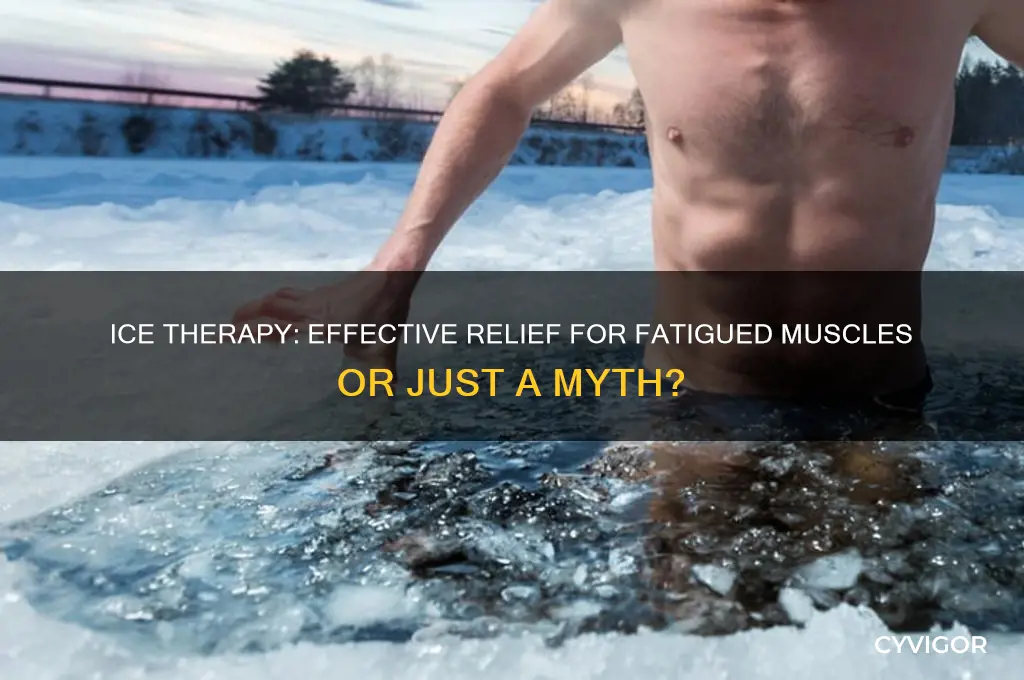 is ice good for fatigue muscle