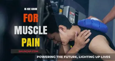 Is Ice the Ultimate Remedy for Soothing Muscle Pain?