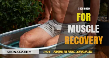 Ice Therapy: Effective Muscle Recovery Tool or Just a Myth?