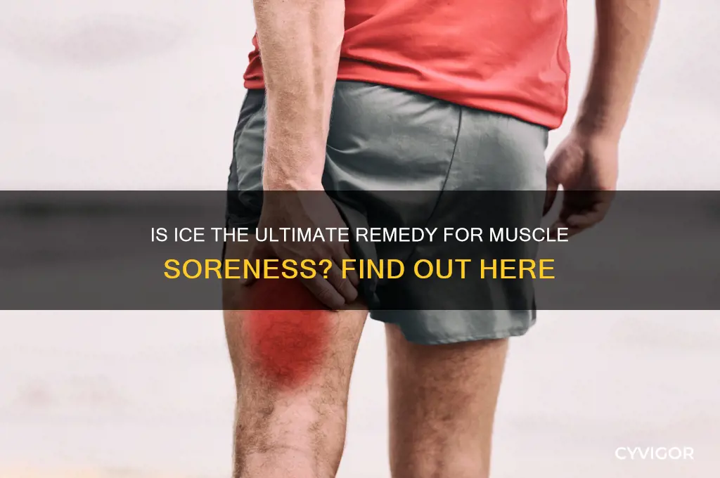 is ice good for muscle soreness