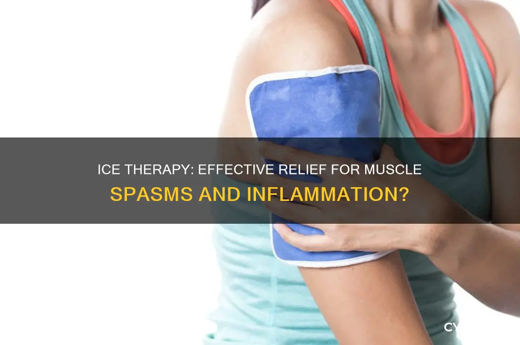 is ice good for muscle spasms and inflammation