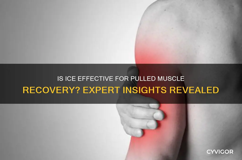 is ice good for pulled muscle