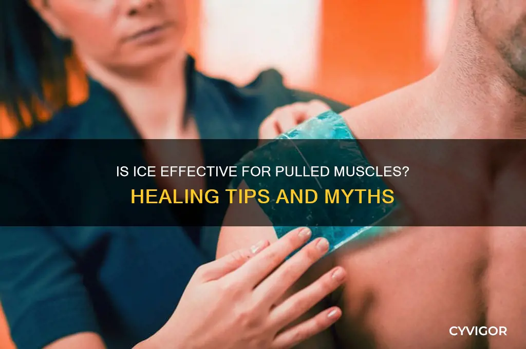 is ice good for pulled muscles