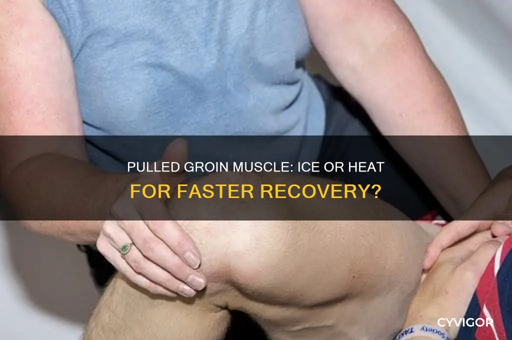 is ice or heat better for a pulled groin muscle
