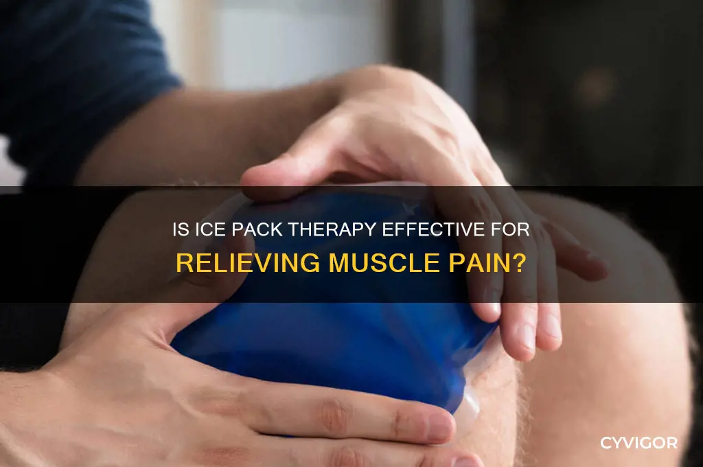 is ice pack good for muscle pain