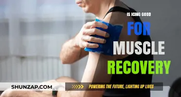 Is Icing Effective for Muscle Recovery? Debunking Myths and Facts