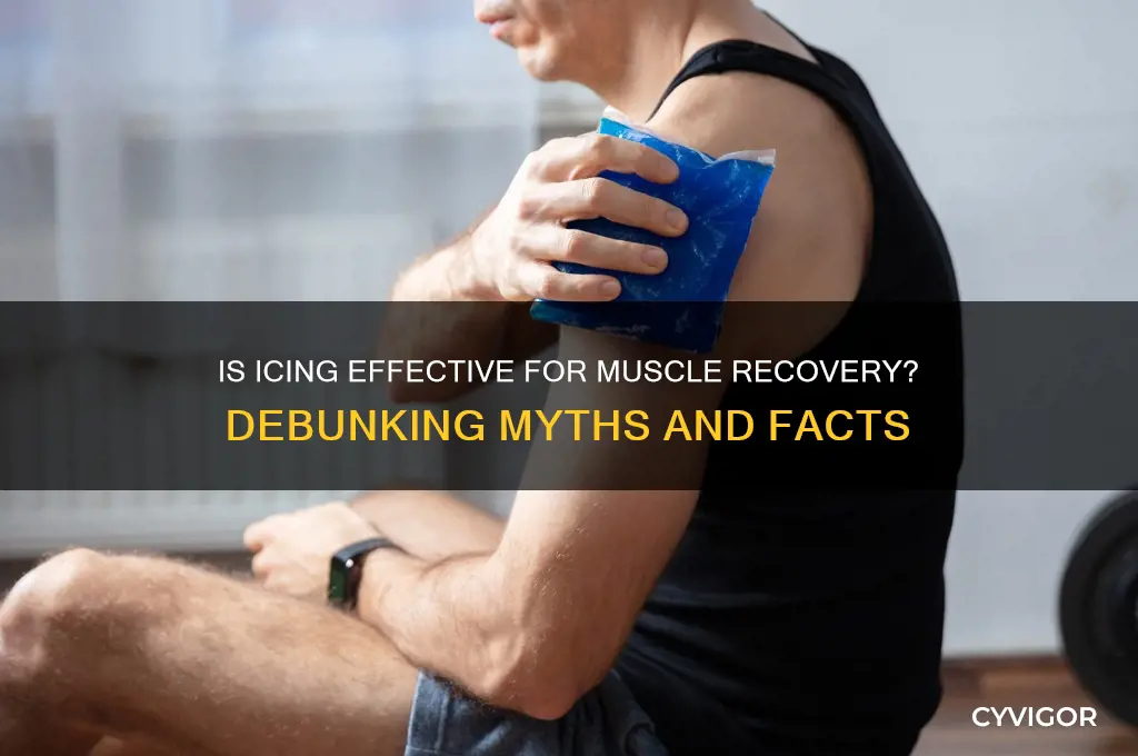 is icing good for muscle recovery