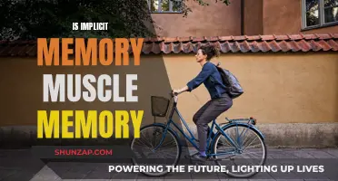 Implicit Memory and Muscle Memory: What's the Connection?