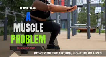 Incontinence: A Muscle Problem or Something More?