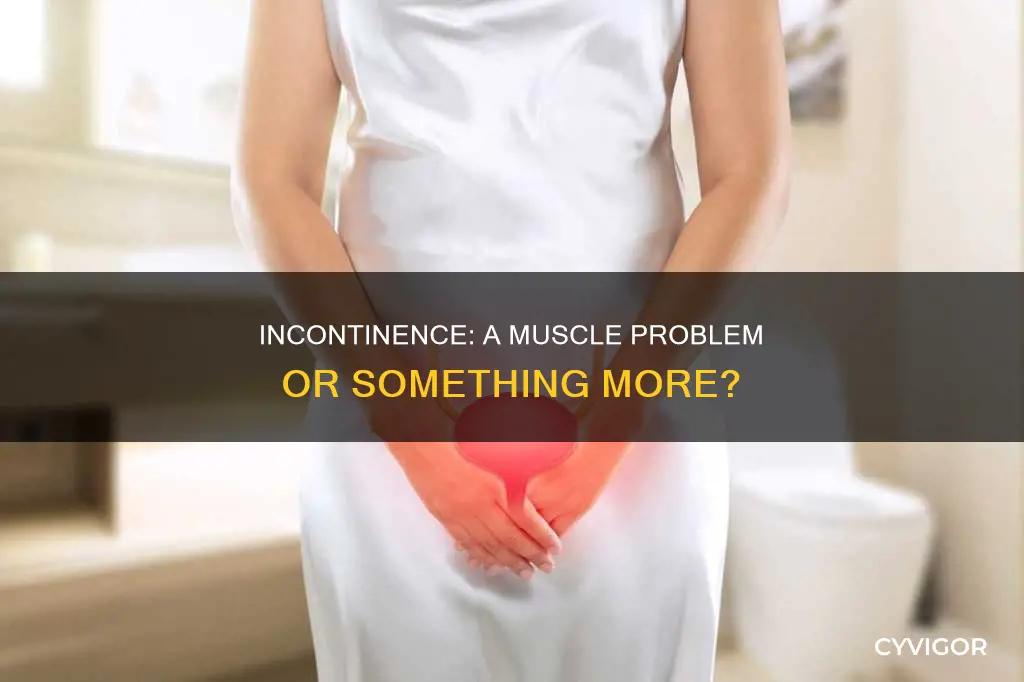 is incontinence a muscle problem