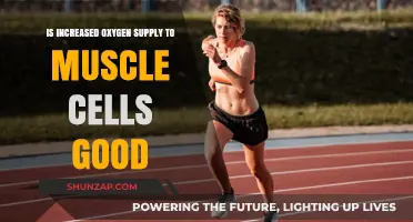 Boosting Muscle Oxygen: Benefits, Risks, and Performance Implications Explained