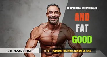 Muscle Mass and Fat Gain: Healthy Strategy or Harmful Myth?