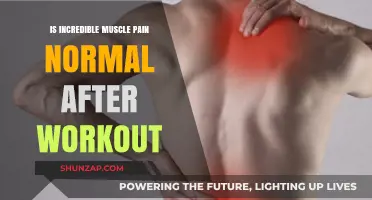 Is Post-Workout Muscle Pain Normal or Cause for Concern?