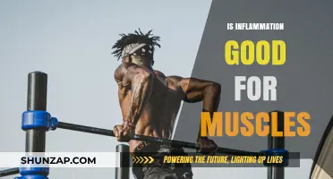 Inflammation's Role in Muscle Growth: Friend or Foe for Fitness?
