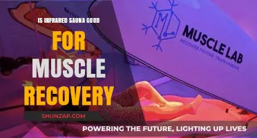 Infrared Sauna Benefits: Enhancing Muscle Recovery and Healing Post-Workout