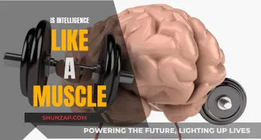 Intelligence: A Muscle to Flex and Strengthen