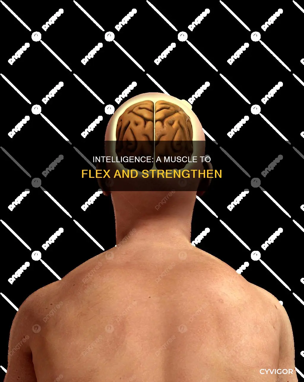is intelligence like a muscle