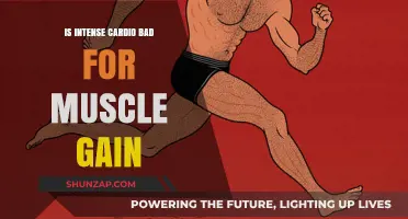 Cardio vs. Muscle Gain: Debunking Myths for Optimal Fitness Results