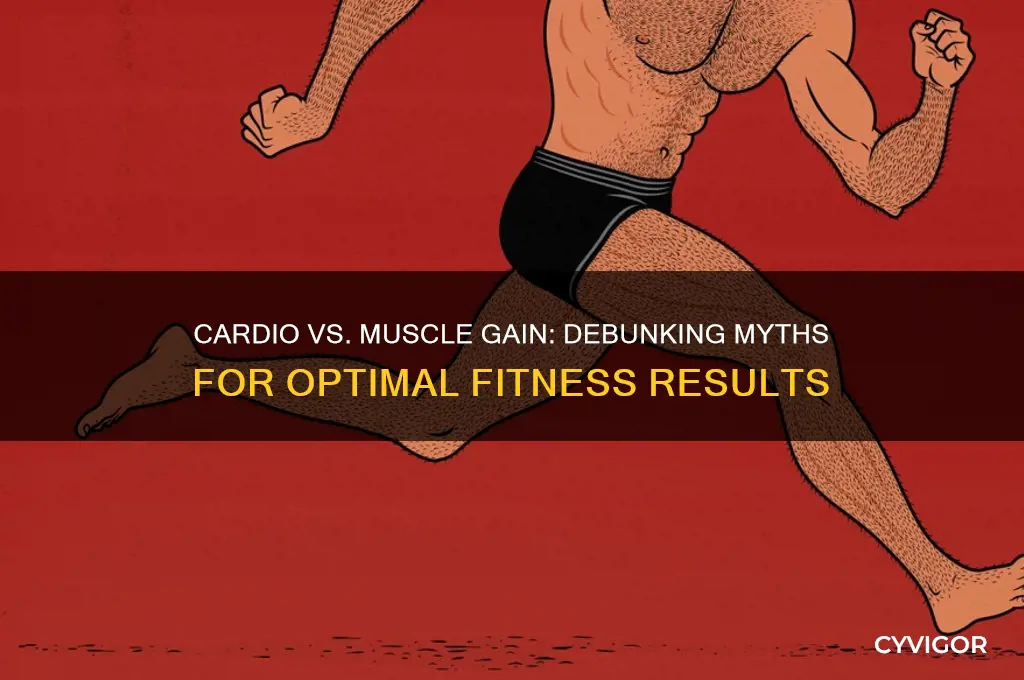 is intense cardio bad for muscle gain