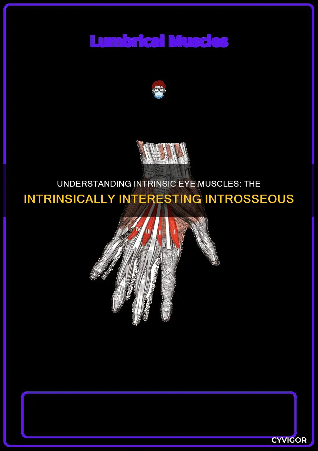is inteossie intrinsic muscles