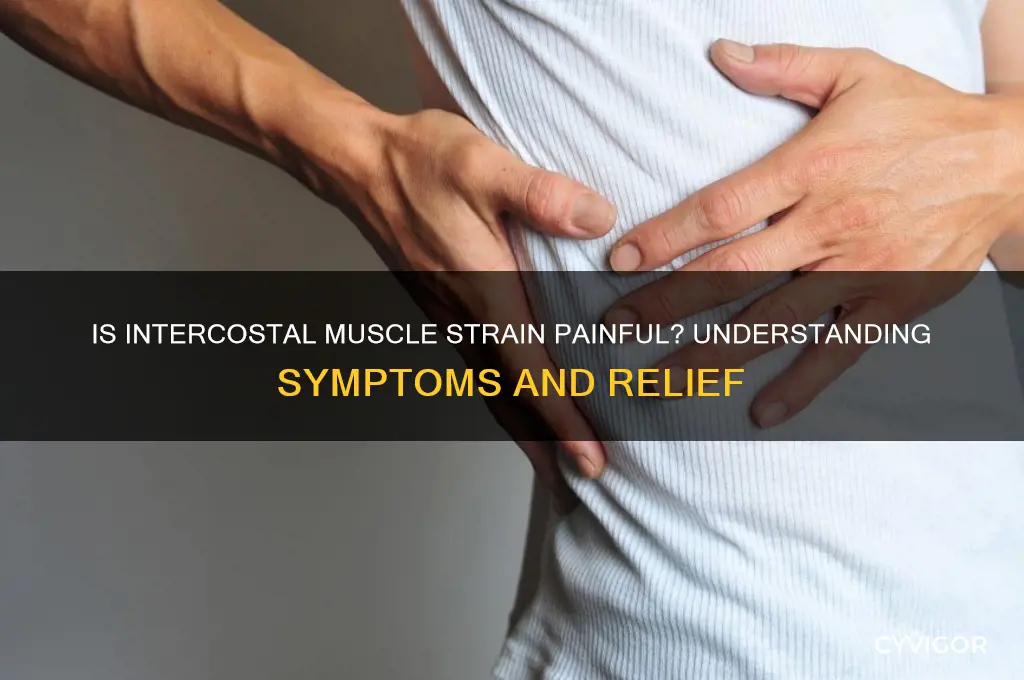 is intercostal muscle strain painful