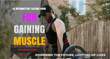 Intermittent Fasting for Muscle Gain: Effective Strategy or Myth?