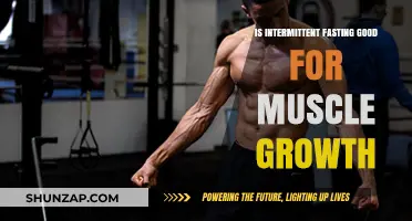 Intermittent Fasting and Muscle Growth: Benefits, Myths, and Best Practices