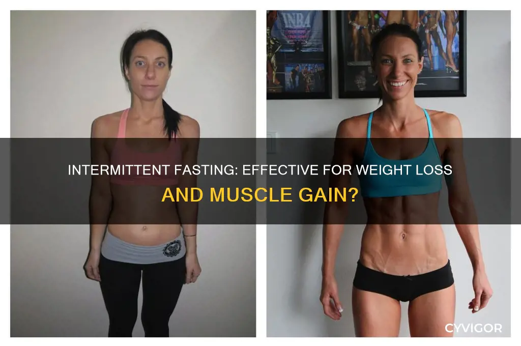 is intermittent fasting good for weight loss and muscle gain