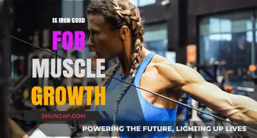 Iron's Role in Muscle Growth: Benefits and Essential Insights