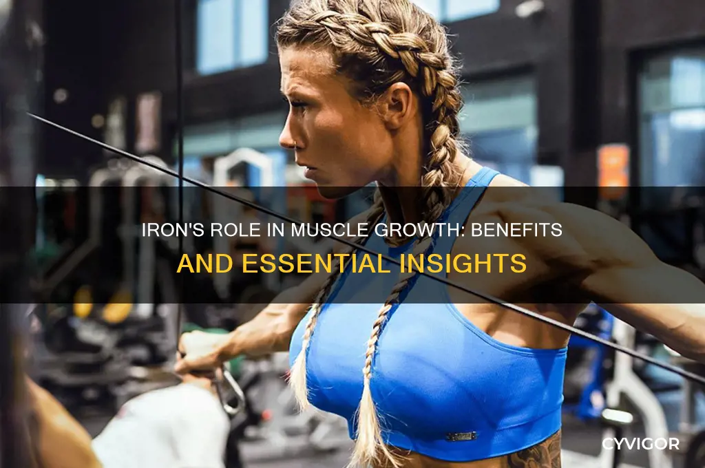 is iron good for muscle growth