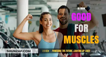 Iron's Role in Muscle Strength, Growth, and Recovery Explained