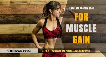 Is Isolate Protein Effective for Muscle Gain? A Comprehensive Analysis