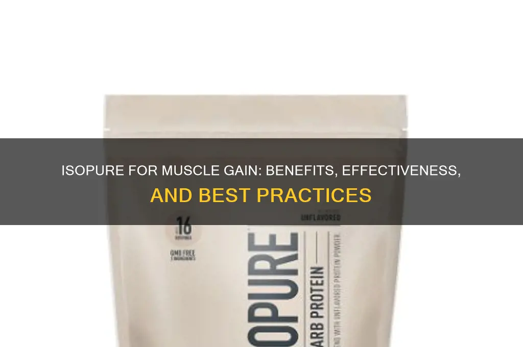 is isopure good for muscle gain