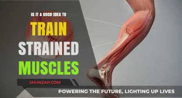 Training Strained Muscles: Risks, Recovery, and Safe Practices Explained