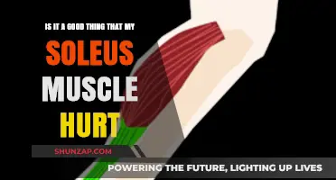 Soleus Muscle Pain: A Sign of Progress or Cause for Concern?