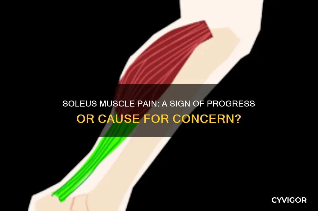 is it a good thing that my soleus muscle hurt