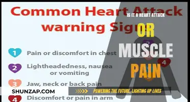 Heart Attack or Muscle Pain: How to Tell the Difference