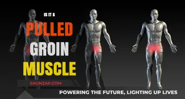 Pulled Groin Muscle: Symptoms, Causes, and Effective Recovery Tips