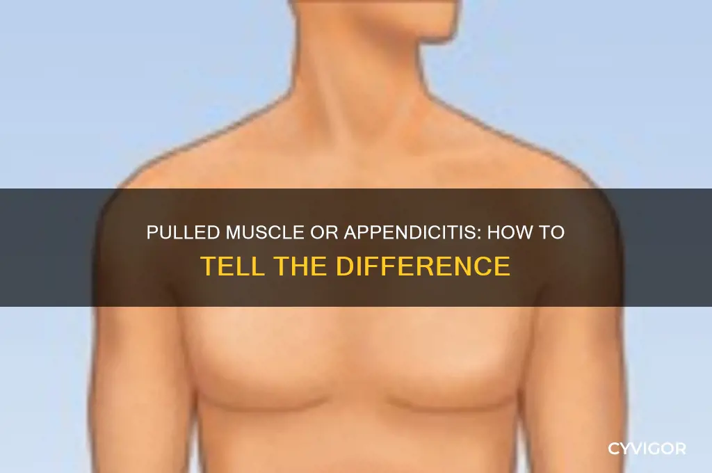 is it a pulled muscle or appendicitis
