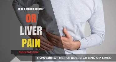 Pulled Muscle or Liver Pain: How to Tell the Difference