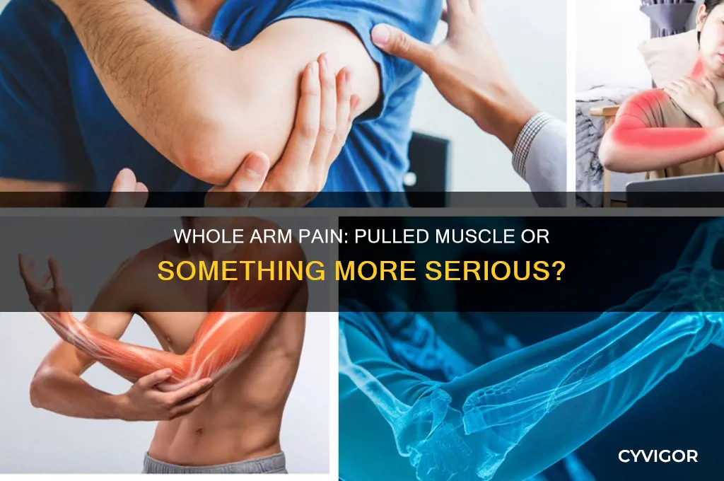 is it a pulled muscle when my whole arm hurts