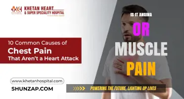 Angina or Muscle Pain: How to Tell the Difference
