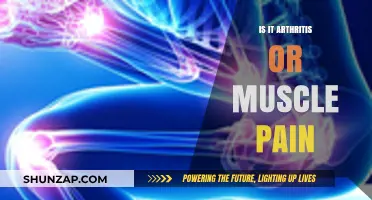 Arthritis or Muscle Pain: How to Tell the Difference