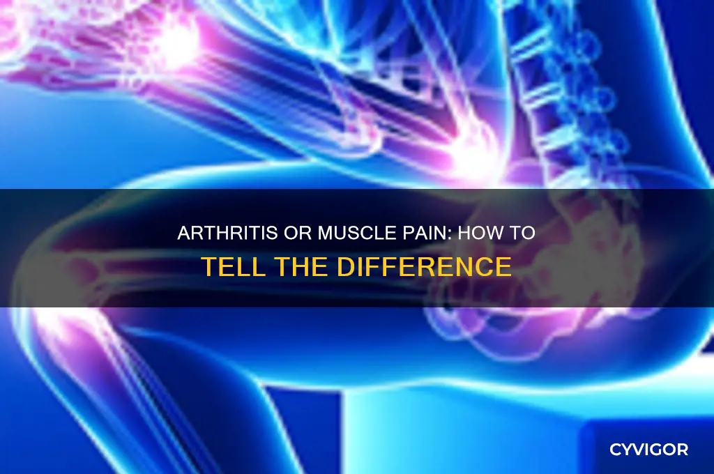 is it arthritis or muscle pain
