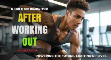 Muscle Twitching Post-Workout: Normal or Cause for Concern?