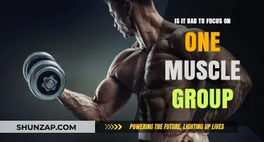 Isolated Training: Benefits or Drawbacks of Single Muscle Group Focus?