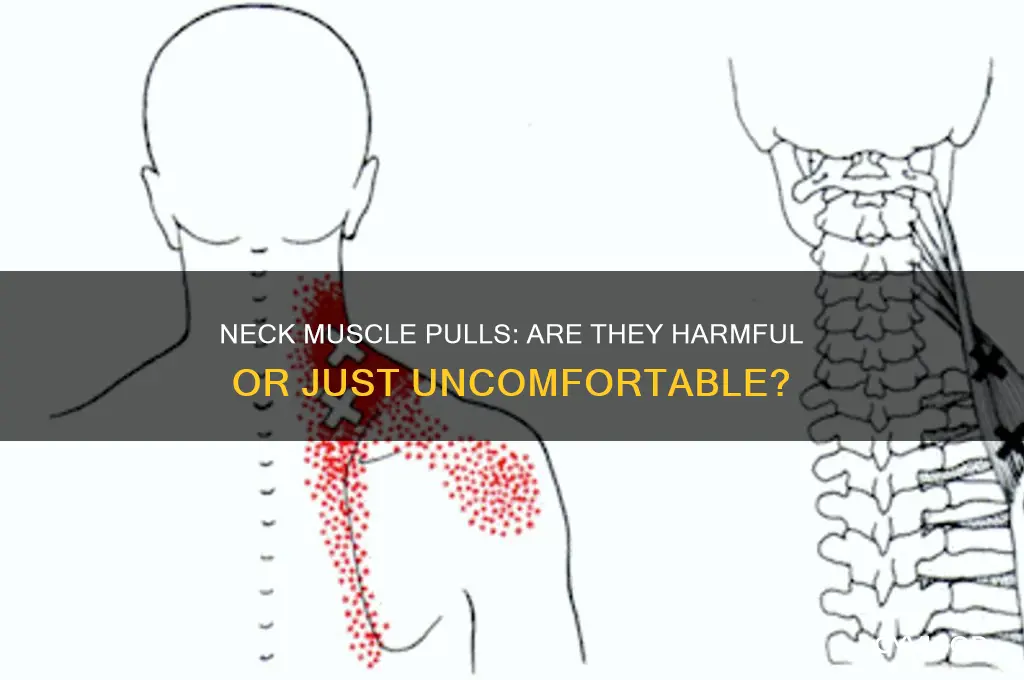 is it bad to pull a muscle in your neck