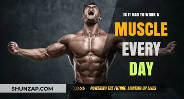 Daily Muscle Workouts: Effective or Detrimental for Strength and Recovery?